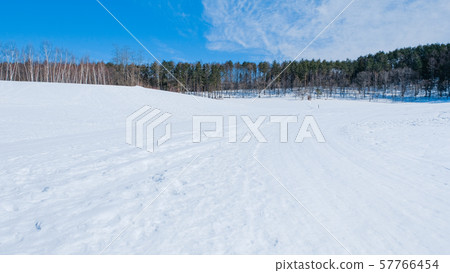 Snowy field 57766454