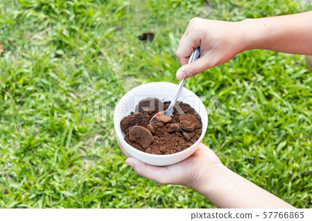 Person apply spent grounded coffee powder as 57766865
