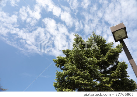 Summer Sky Akita City, Akita Prefecture 57766905