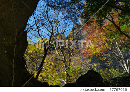 The first stone gate and autumn leaves of Mt. Myogi The first stone gate and autumn leaves of Mt. Myogi 57767016