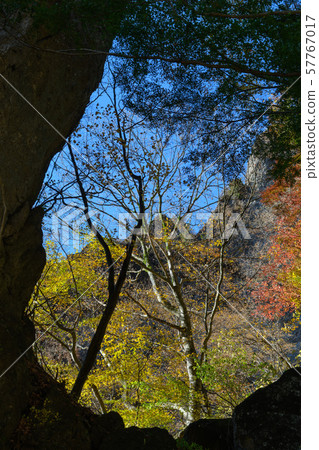 The first stone gate and autumn leaves of Mt. Myogi The first stone gate and autumn leaves of Mt. Myogi 57767017