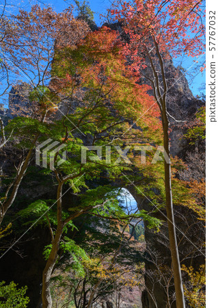 The first stone gate and autumn leaves of Mt. Myogi 57767032