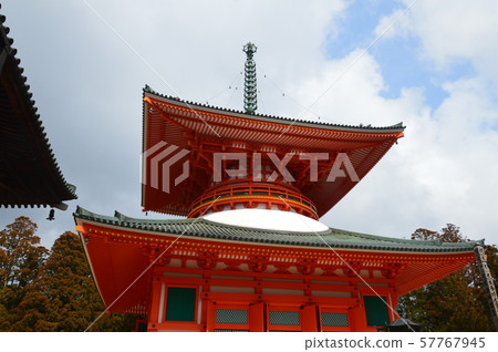 "Root tower" of Mt. Koya, Danjo Gaya (Koya mountain Kongo-ji Temple / Mt. Koya, Koya-cho, Ito-gun, Wakayama) 57767945