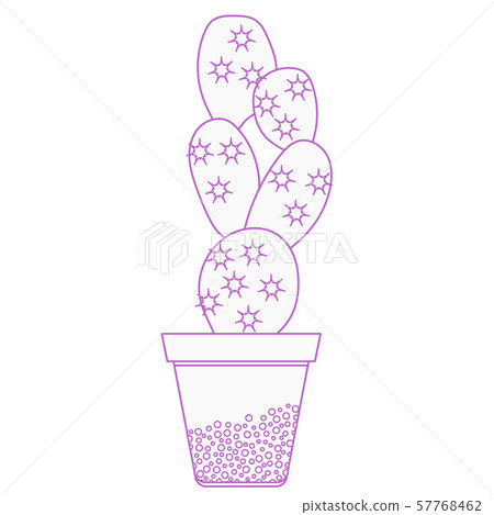 Vector illustration with potted cactus Succulents Vector illustration with potted cactus Succulents 57768462