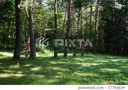 Iwaizumi Shoto Shrine Iwaizumi Shoto Shrine 57768684