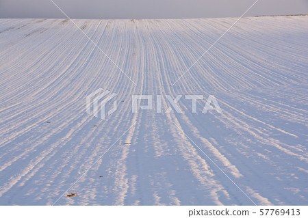 日落雪原 57769413
