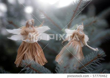 fairy fairy 57770462