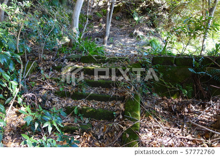 Hakusansha Tomb Hakusansha Tomb 57772760
