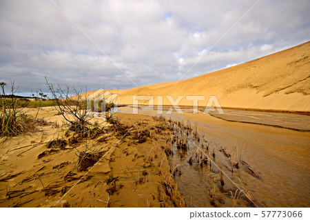 the sand dunes of Te Paki to the ocean, Far North, 57773066