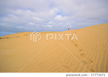 the sand dunes of Te Paki to the ocean, Far North, the sand dunes of Te Paki to the ocean, Far North, 57773072