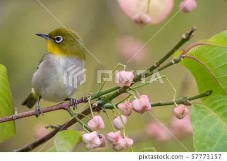 In the autumn season 57773157