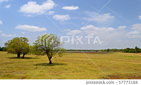 Panoramic view of central Sri Lanka plain Panoramic view of central Sri Lanka plain 57773188