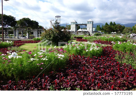 群馬縣花公園宇宙 群馬縣花公園宇宙 57773195