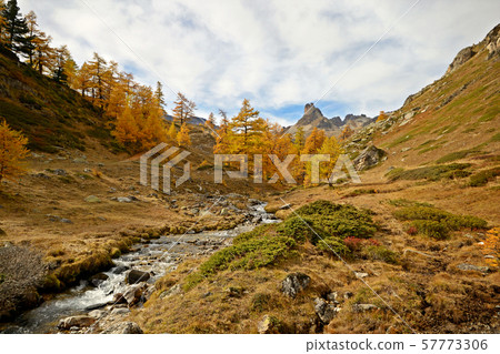 Colourful alpine valley 57773306