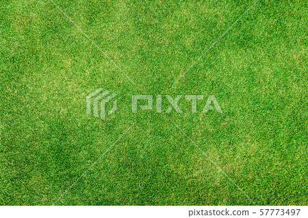 green grass background 57773497