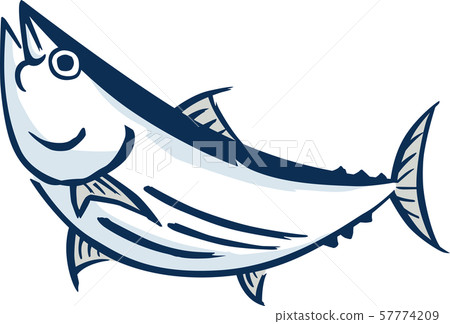 Bonito bonito illustration - Stock Illustration [57774209] - PIXTA