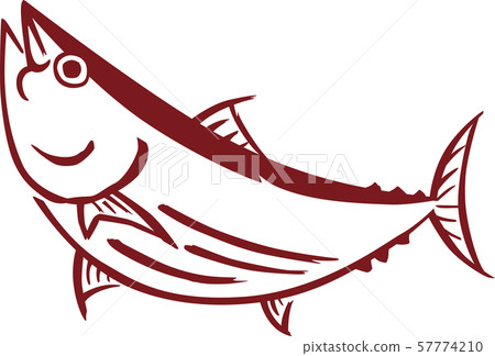 Bonito bonito illustration - Stock Illustration [57774210] - PIXTA