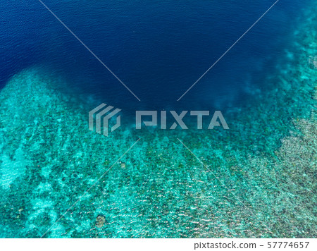 Aerial top down coral reef tropical caribbean sea, 57774657