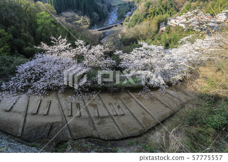 Sakuranooka Castle Ruins 57775557