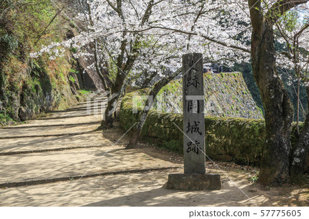 櫻之岡城跡 57775605