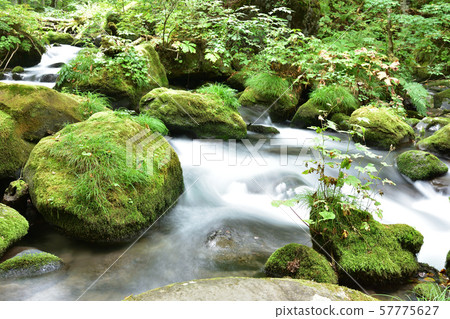 Oirase stream Oirase stream 57775627
