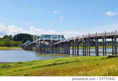 [青森縣]夏季鶴舞橋 57775942