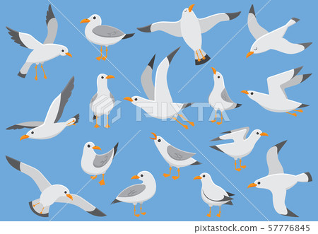 Atlantic white seabird fly at sky. Beach seagull at quay. Sea birds, gull cartoon vector 57776845