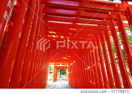 愛知縣瀨戶市深川神社 愛知縣瀨戶市深川神社 57776873