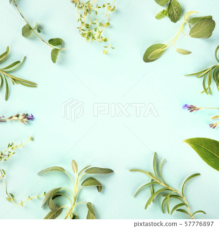 Square food design template. Culinary aromatic herbs and spices, shot from above on a teal blue 57776897