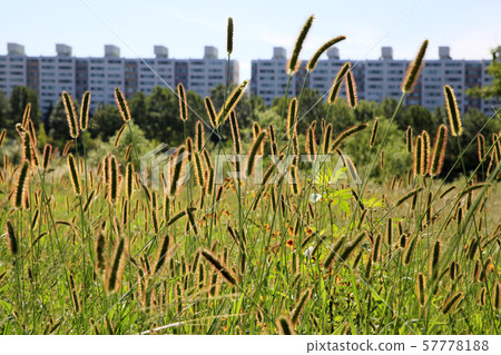 加長川-努里路，長廊 57778188
