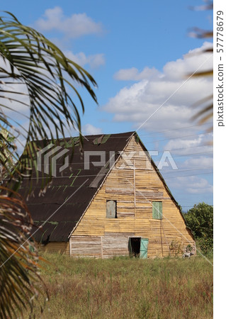Vinales Valley Tour in Cuba Vinales Valley Tour in Cuba 57778679