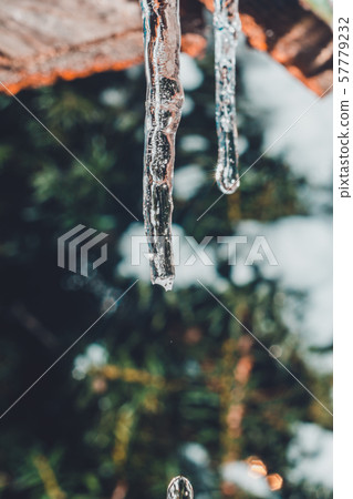 Frozen icicle on the edge of the roof of the house Frozen icicle on the edge of the roof of the house 57779232