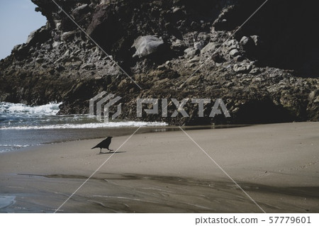 A Walk On The Beach A Walk On The Beach 57779601