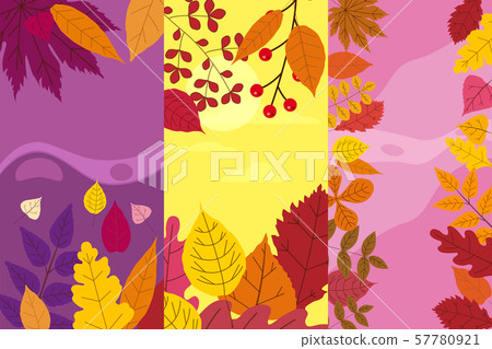 Set colorful autumn templates of autumn fallen leaves orange yellow foliage. Backgrounds social 57780921