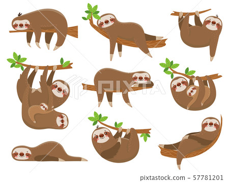 Cartoon sloths family. Adorable sloth animal at jungle rainforest. Funny animals on tropical forest Cartoon sloths family. Adorable sloth animal at jungle rainforest. Funny animals on tropical forest 57781201