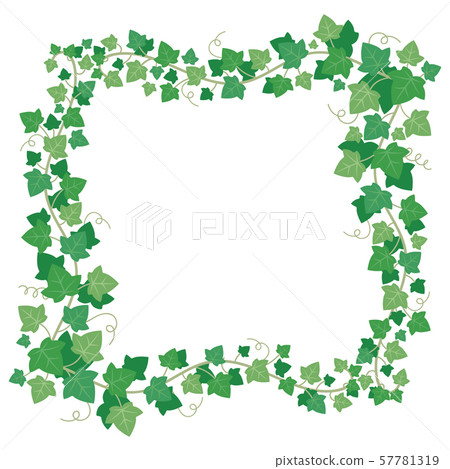 Vine ivy green leaves frame. Climbing plant greenery rectangular border. Floral creeper leaf 57781319