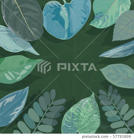 Background of Tropical Leaves. Suitable for nature Background of Tropical Leaves. Suitable for nature 57783809
