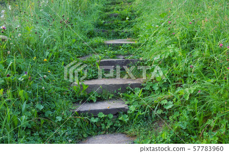Stair of stones. Decorative element in the garden. Stair of stones. Decorative element in the garden. 57783960