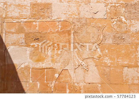 Mortuary temple of Hatshepsut in Deir el-Bahari. Ancient wall with the engraved Egyptian pictures and hieroglyphs. Deir el-Bahari, Egypt. 57784123