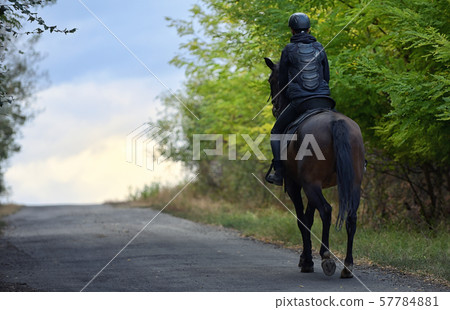 Teenage boy with a horse Teenage boy with a horse 57784881