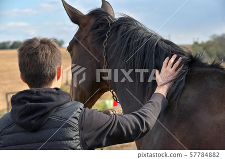 Teenage boy with a horse Teenage boy with a horse 57784882