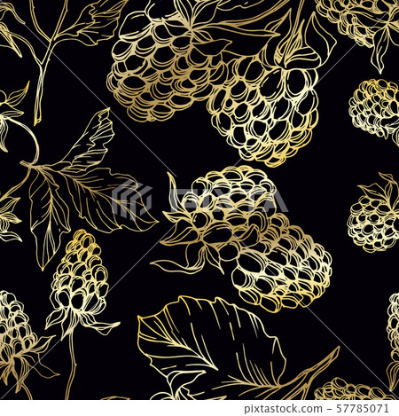 Vector Blackberry healthy food. Black and white engraved ink art. Seamless background pattern. 57785071