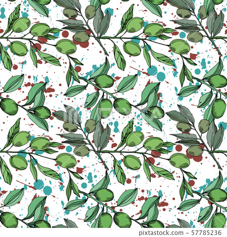Vector Olive branch with fruit. Black and white engraved ink art. Seamless background pattern. Vector Olive branch with fruit. Black and white engraved ink art. Seamless background pattern. 57785236