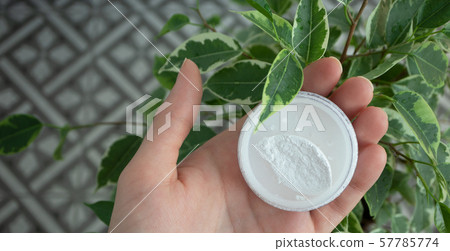White mineral powder in female palm near green 57785774