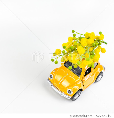 Car toy model delivering bouquet of mimosa flowers 57786219