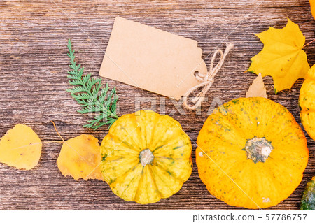 pumpkin on table 57786757