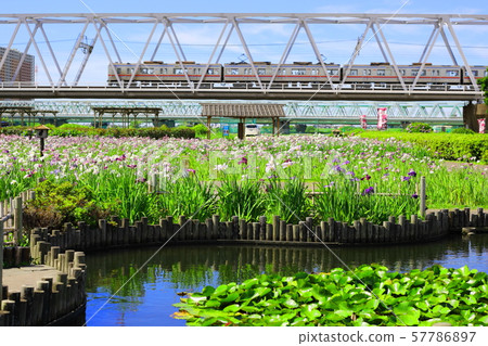Koiwa Gion and Keisei Main Line Koiwa Gion and Keisei Main Line 57786897