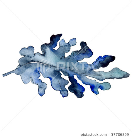 Blue aquatic underwater nature coral reef. Watercolor background set. Isolated coral illustration Blue aquatic underwater nature coral reef. Watercolor background set. Isolated coral illustration 57786899
