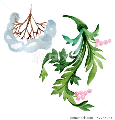 Winter ornament elements. Watercolor background illustration set. Isolated ornament illustration 57786973