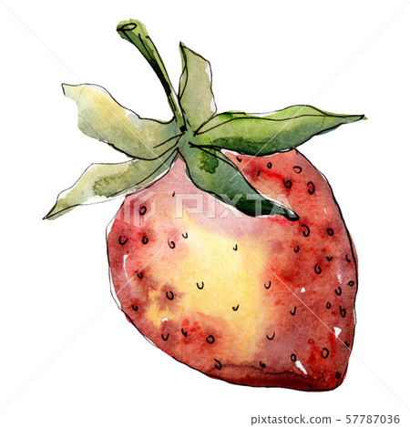 Strawberry healthy food in a watercolor style isolated. Watercolour background set. Isolated berry 57787036